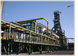 Direct Reduced Iron Plant